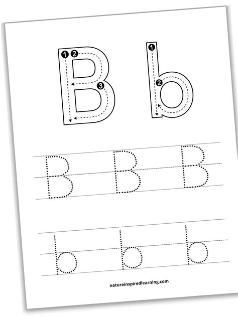 Letter B Tracing Worksheets Printable Tracing Worksheets Tracing