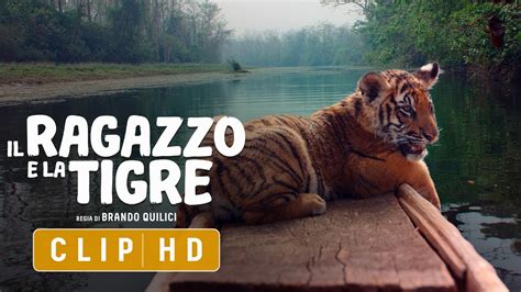 Il Ragazzo E La Tigre CLIP 5 HD Adesso Al Cinema YouTube