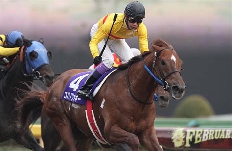 コパノリッキー｜名馬メモリアル｜競馬情報ならjra Van