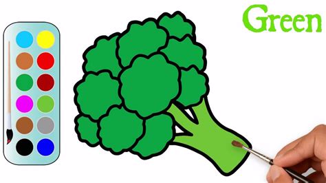 Drawing And Coloring A Broccoli Easy Way To Draw A Broccoli Mhp