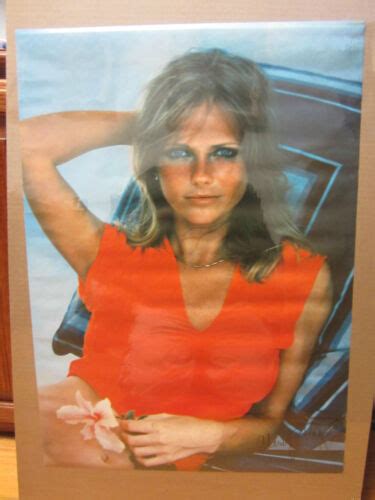 Vintage Hot Girl Poster Cheryl Tiegs Man Cave Car Garage Ebay