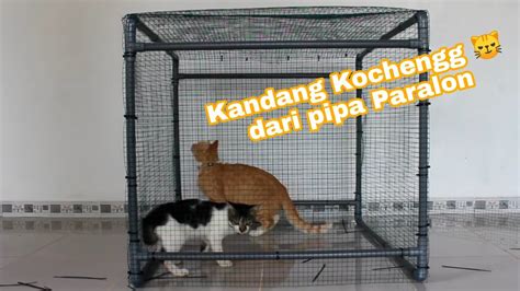 Cara Buat Kandang Kucing Sederhana Ujian