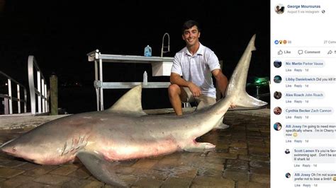 A Headless Shark Seen In Cherry Grove Sparks Controversy The State