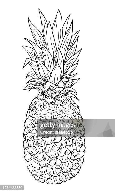 1134 Black And White Pineapple Stock Photos High Res Pictures And