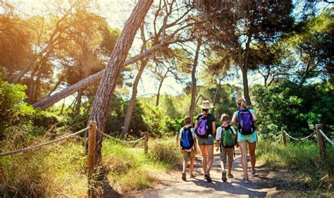 Vacaciones En Mallorca Con Ni Os Un Destino Que Lo Tiene Todo