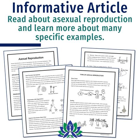 Asexual Reproduction Reading And Worksheet Flying Colors Science