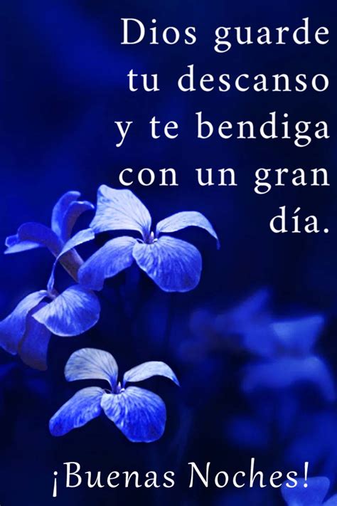 Bendiciones Buenas Noches Imágenes Buenas Noches