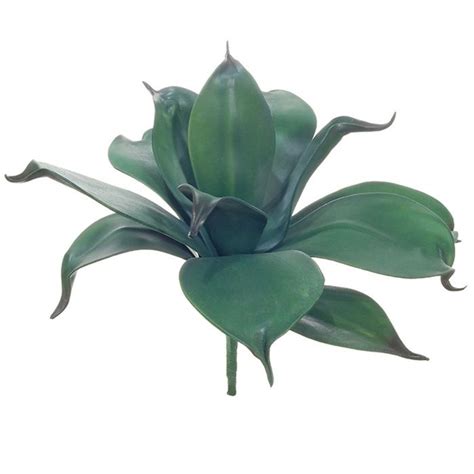 Acheter des Plante succulente décorative Agave attenuata MEALLA piquet