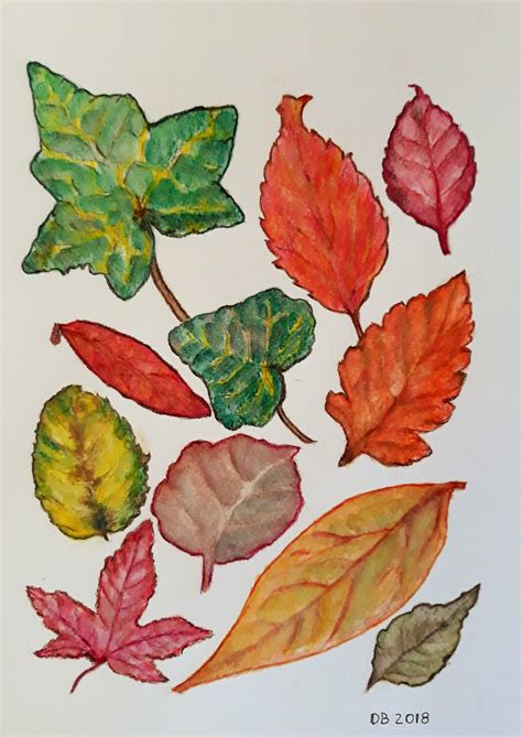 Foglie D Autunno 2 Disegno Acquerello Di Daniela Bertoni Foglie