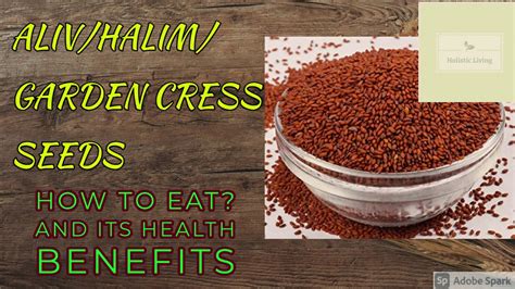 Miracle Alivhalimgarden Cress Seeds Benefitsmiracle Remedy For Hair Regrowthholistic Living