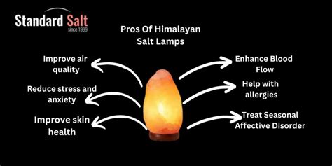 14 Pros And Cons Of Himalayan Salt Lamps What Science Says