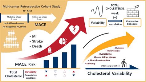 Cmsj Cardiometabolic Syndrome Journal