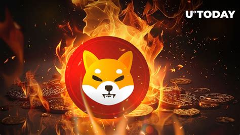 Shiba Inu Shib Burn Rate Up As Price Crosses Crucial Threshold