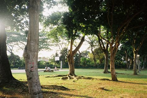 5 Manfaat Area Terbuka Hijau Pada Cluster Atau Perumahan Serpong