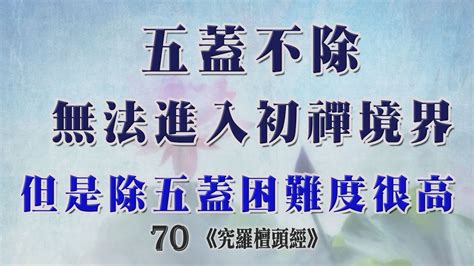 70常律老和尚開示巴利藏原始佛教真佛經真佛法共186部及17732篇經文 佛教有史以來為大眾一部經一部經開示的比丘 五蓋不除，無法進入初禪境界，但是除五蓋困難度很高 Youtube