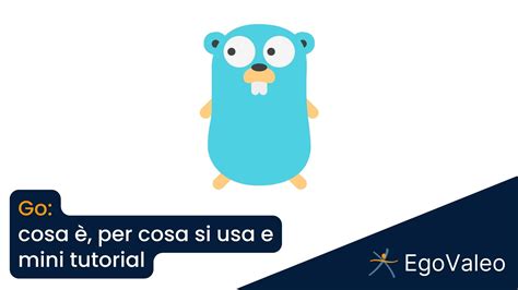 Go Linguaggio Cosa è Per Cosa Si Usa E Mini Tutorial Egovaleo