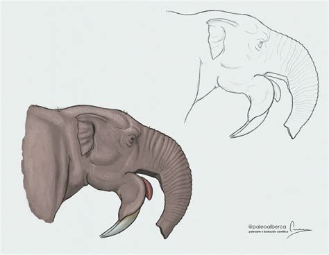 Deinotherium by paleoalberca on DeviantArt