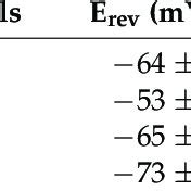 The Reversal Potential Of The Voltage Activated Currents Measured In