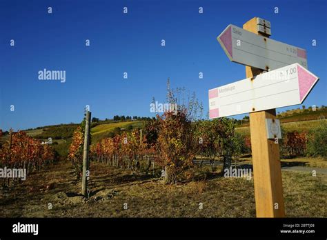 Hiking Trails In The Hills Of Langhe Piedmont Italy Stock Photo Alamy