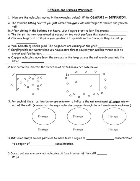 Diffusion And Osmosis Worksheet