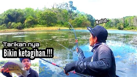 Mancing Nila Dibelakang Rumah Warga Bikin Ketagihan Sungai Luar