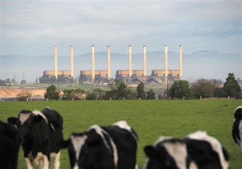 Hazelwood Power Station Demolition Australia Vibrock Is One Of The