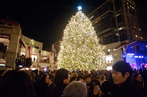 Holiday Tree Lightings In Boston Jeremiah Robinson