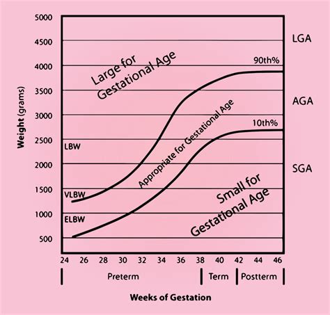 Understanding And Calculating Gestational Age Ck Birla Hospital