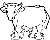 Oxen clipart 20 free Cliparts | Download images on Clipground 2024