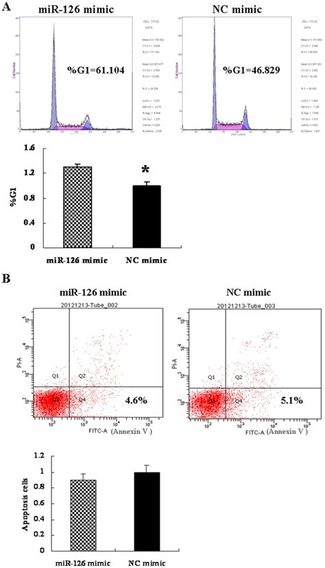 A MiR 126 Mimic And NC Mimic Transfected Cells Were Stained With