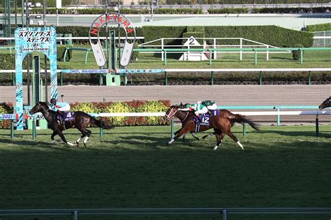 スプリンターズステークス2022 過去10年の傾向データ｜g1特集｜競馬予想・競馬情報ならjra Van