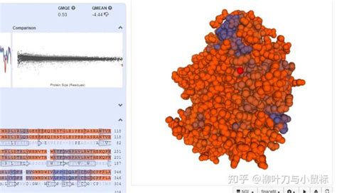 如何预测蛋白质三维结构（swiss Model） 知乎