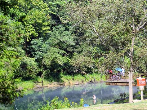 Tales From The Camping House: Greers Ferry Dam - Heber Springs, Arkansas