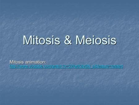 Mitosis & Meiosis Mitosis animation: - ppt download | Meiosis, Nuclear ...