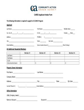 Fillable Online Cares Applicant Intake Form The Following Information