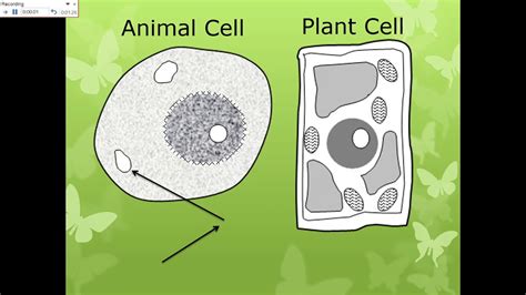 Living Organisms Cells - YouTube