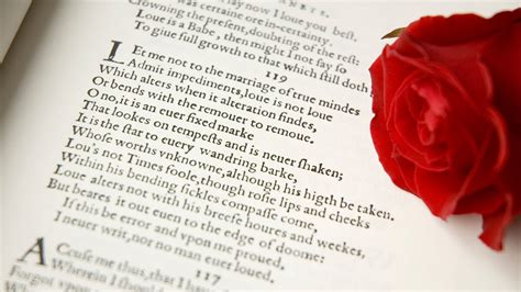 Sonnet Examples 4 Types And Their Characteristics Yourdictionary