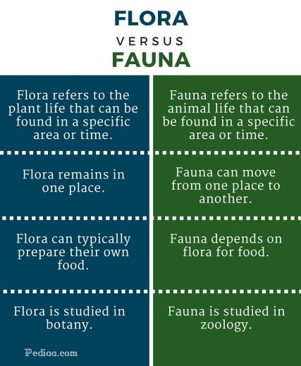 Difference Between Flora and Fauna