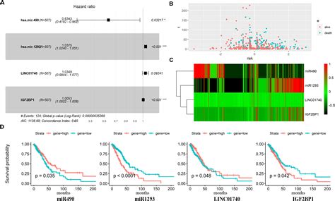 Frontiers Characterization Of Lncrna Associated Cerna Network To