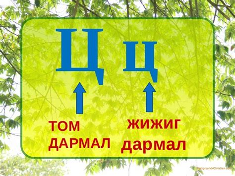 ц авиа үсэг
