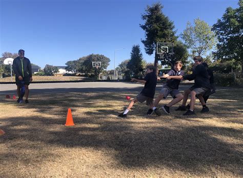 No Dolphins Were Harmed Te Oraka Shirley Intermediate School Term 1