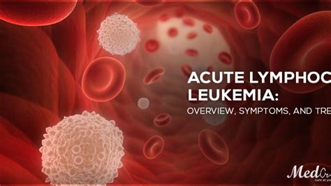 Understanding Leukemia Types Symptoms And Causes