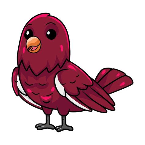 Desenho De P Ssaro Pompadour Cotinga Fofo Vetor Premium