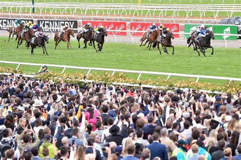 Melbourne Cup Full Finishing Order Punters