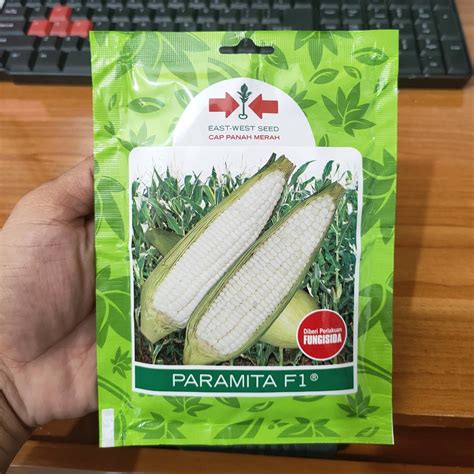 Jual PM Benih JAGUNG PULUT PUTIH PARAMITA Isi 200 Biji Bibit Jagung