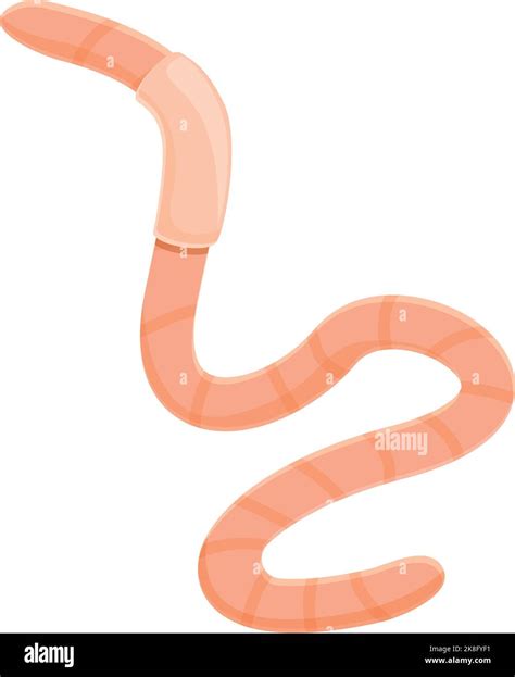 Hookworm Stock Vector Images Alamy