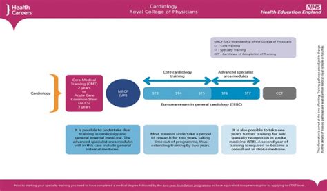 Training and development (cardiology) | Health Careers