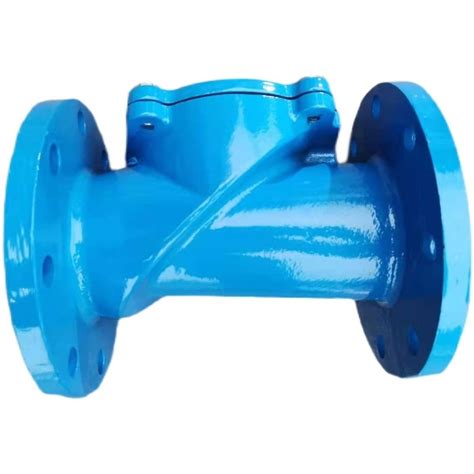 Flanged F Non Return Swing Check Valve Ductile Cast Iron Pn Pn