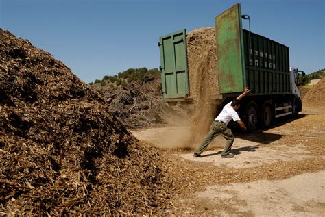 Qu Es La Biomasa Conoce Los Tipos De Biomasa