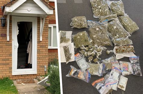 Three Arrests As Police Seize £50 000 Worth Of Cannabis In East Swindon